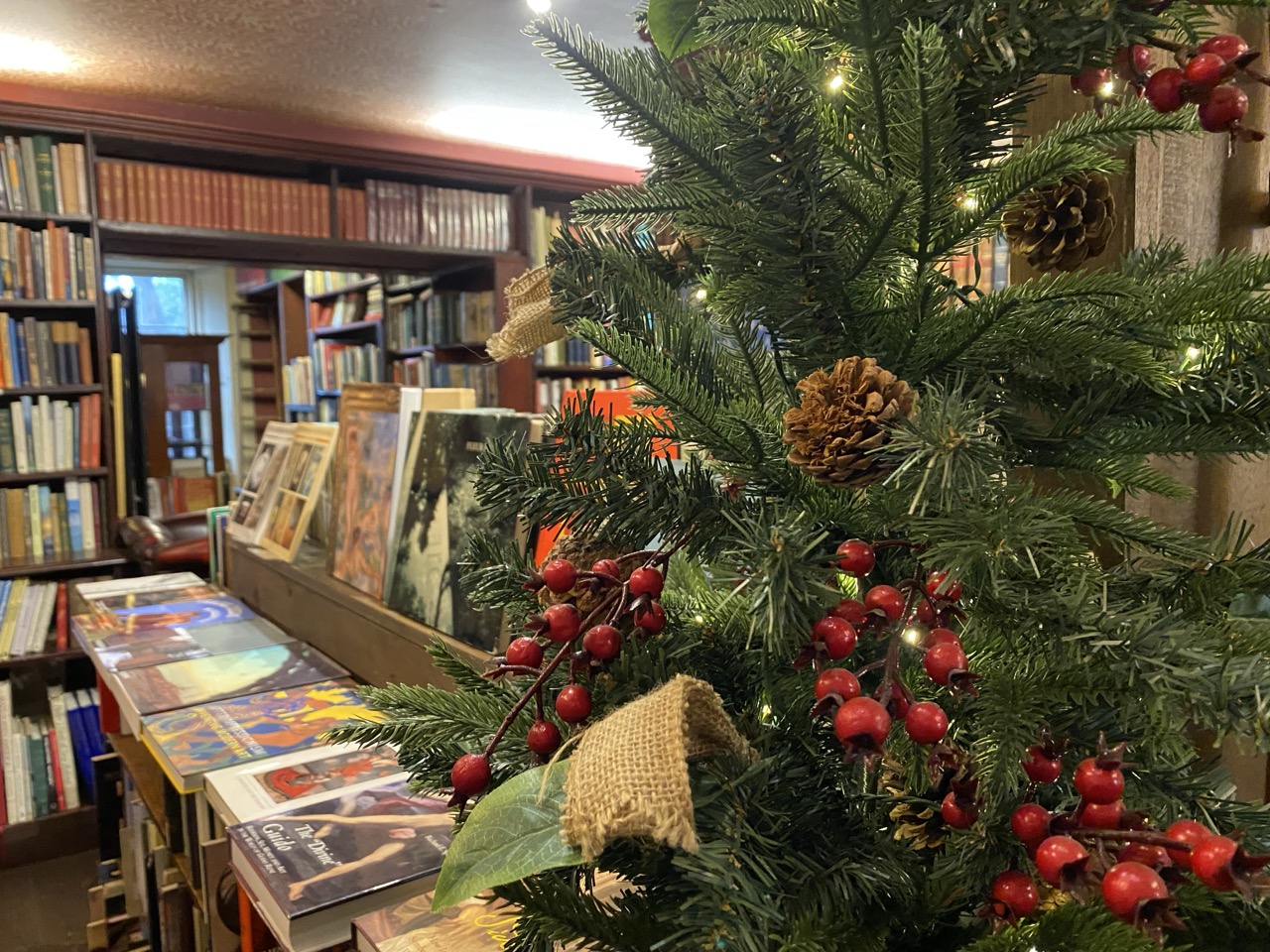 Christmas Tree in Bookshop
