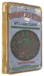 The Common Seaweeds of the British Coast and Channel Islands; with some insight into the microscopic beauties of their structure and fructification. With tinted plates.