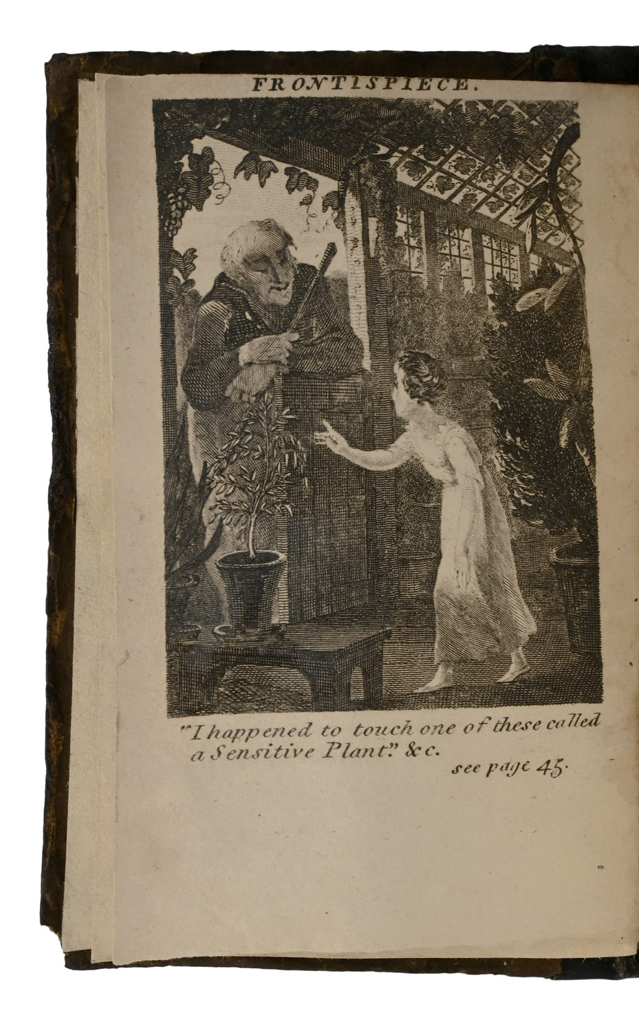Domestic Recreation; or, Dialogues illustrative of Natural and Scientific Subjects.
