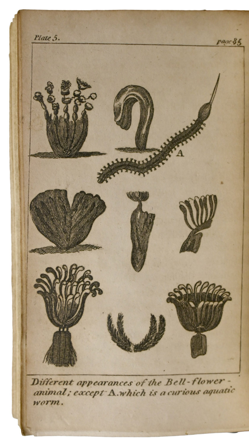 Domestic Recreation; or, Dialogues illustrative of Natural and Scientific Subjects.