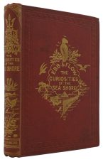Ebb And Flow. The Curiosities & Marvels of the Sea-Shore. A Book for Young People. New Edition.