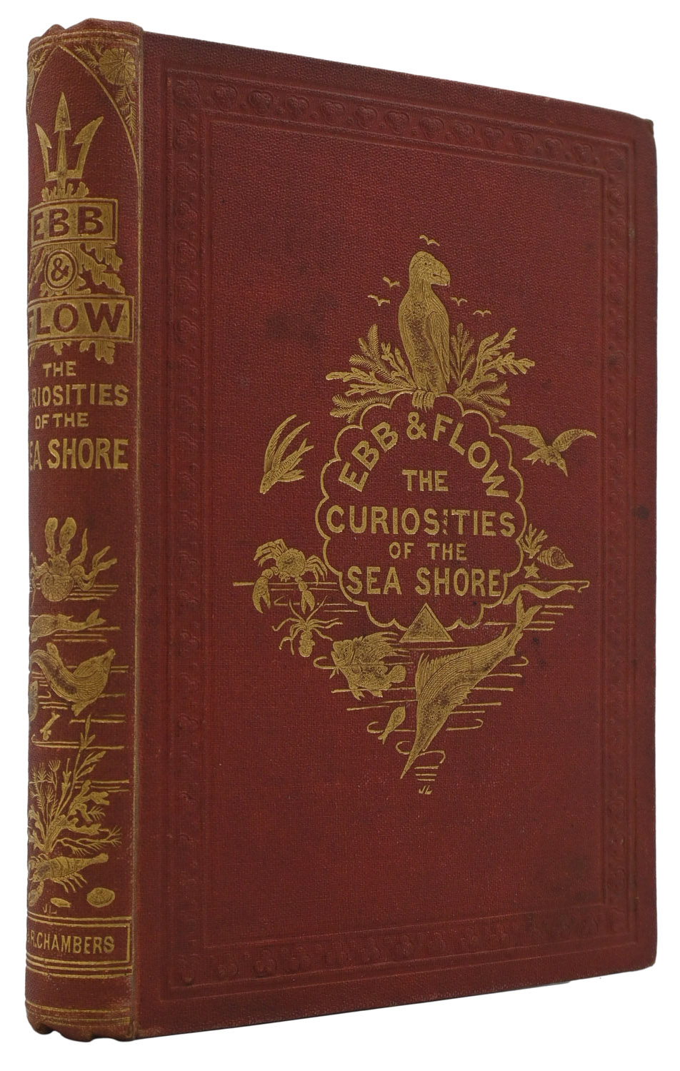 Ebb And Flow. The Curiosities & Marvels of the Sea-Shore. A Book for Young People. New Edition.